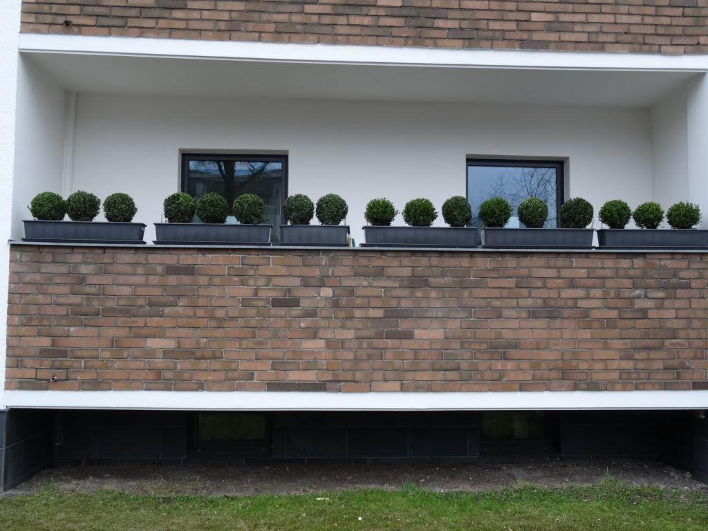 Bananas Hotel And Guesthouse Berlin * Berlino